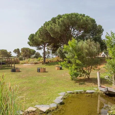 Le Rondini Bed & Breakfast *